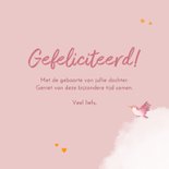 Felicitatiekaartje meisje met dieren en papieren vliegtuigje 3