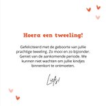 Felicitatiekaartje voor een tweeling met luchtballon 3