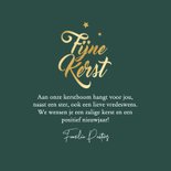 'Fijne kerst' fotokaart teckel sterren goud lampjes 3