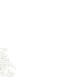 Fotocollage bedankt lijnillustratie botanisch klassiek Achterkant