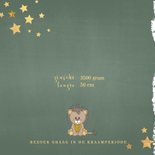 Geboorte hip groen kaartje met een schattige leeuw 2