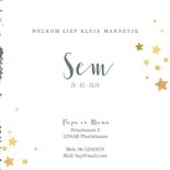 Geboorte hip groen kaartje met een schattige leeuw 3