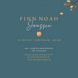 Geboorte jongen bosdieren stijlvol vosje in hangmat in boom 3