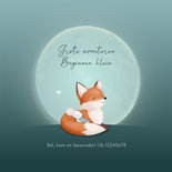Geboorte jongen sfeervolle maan met vosje en kleine muis 2