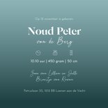 Geboorte jongen sfeervolle maan met vosje en kleine muis 3