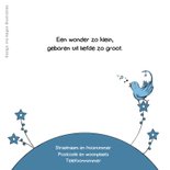 Geboorte leeuw met vogel - IH 2