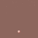 Geboorte meisje bosdieren stijlvol vosje in hangmat in boom Achterkant