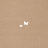 Geboorte Meisje Silhouet Vlinder Achterkant