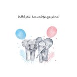 Geboorte tweeling meisje jongen olifantjes 2