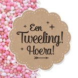 Geboorte Tweeling Meisje Muisjes 2