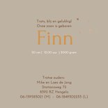 Geboortekaart broer met bakfiets 3