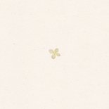 Geboortekaart gedroogde bloemen hortensia Achterkant