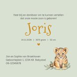 Geboortekaart giraf leeuw olifant groene achtergrond 3