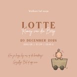 Geboortekaart Hoera een zusje Grote zus 3