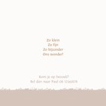 Geboortekaart houten bakfiets met zusjes ballon 2