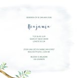 Geboortekaart jongen koala in boom 3