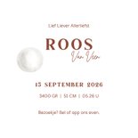 Geboortekaart meisje ooievaar bij maan 3