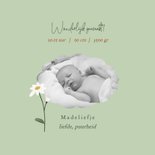 Geboortekaart met geboortebloem april: madeliefje 2