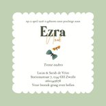 Geboortekaart met geboortebloem april: madeliefje 3