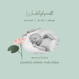 Geboortekaart met geboortebloem juli: waterlelie 2