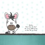 Geboortekaart met illustratie van een schattige baby zebra 2