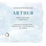 Geboortekaart met pinguin op ijsschots 3