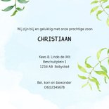 Geboortekaart Panda - jongen 3