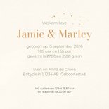 Geboortekaart tweelinggiraf met foto 3