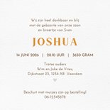 Geboortekaart welpje broertje-zusje 3