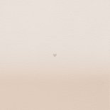 Geboortekaart welpje broertje-zusje Achterkant