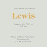 Geboortekaart zusje bakfiets av 3