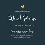 Geboortekaartje 3e kindje jongen uiltjes dieren nacht maan 3