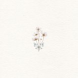 Geboortekaartje 5e broertje met groot gezin in bloemenweide Achterkant