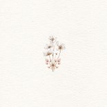 Geboortekaartje 5e zusje met groot gezin in bloemenweide Achterkant