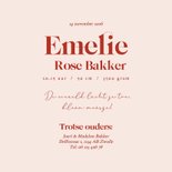 Geboortekaartje astrologie met lachend zonnetje 3