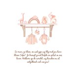 Geboortekaartje babyspulletjes plankje 2