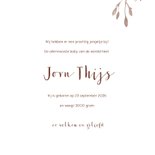 Geboortekaartje beer met kleine beer en takjes 3