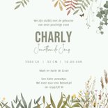 Geboortekaartje beer met takjes en dieren 3