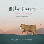 Geboortekaartje berenfamilie illustratie meisje sterren maan 3