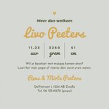 Geboortekaartje blokjes ruitjes hip goud stoer groen 3