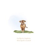 Geboortekaartje boerderij met een koe met kleintje 2