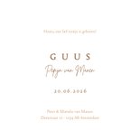 Geboortekaartje boerderij met een koe met kleintje 3