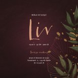 Geboortekaartje bordeaux met jungle bladeren 3