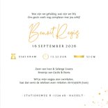 Geboortekaartje broertje in wieg broer en zus met krullen 3