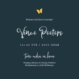 Geboortekaartje broertje uil vlinders jungle boom sterren 3