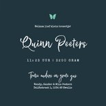 Geboortekaartje broertje zus uil vlinder jungle boom sterren 3