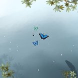 Geboortekaartje broertje zus uil vlinder jungle boom sterren Achterkant