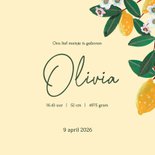 Geboortekaartje citroenen met bloesem 3