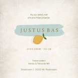 Geboortekaartje citroentjes blauw 3