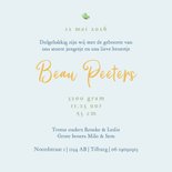 Geboortekaartje derde kindje broertje jongen uiltjes boom 3